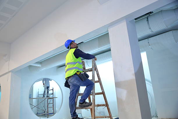 Best Mold Remediation for Healthcare Facilities  in Hiram, OH